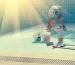 Swimming Pool Repair in Fort Worth Backed by Certified Pool Builder Experience